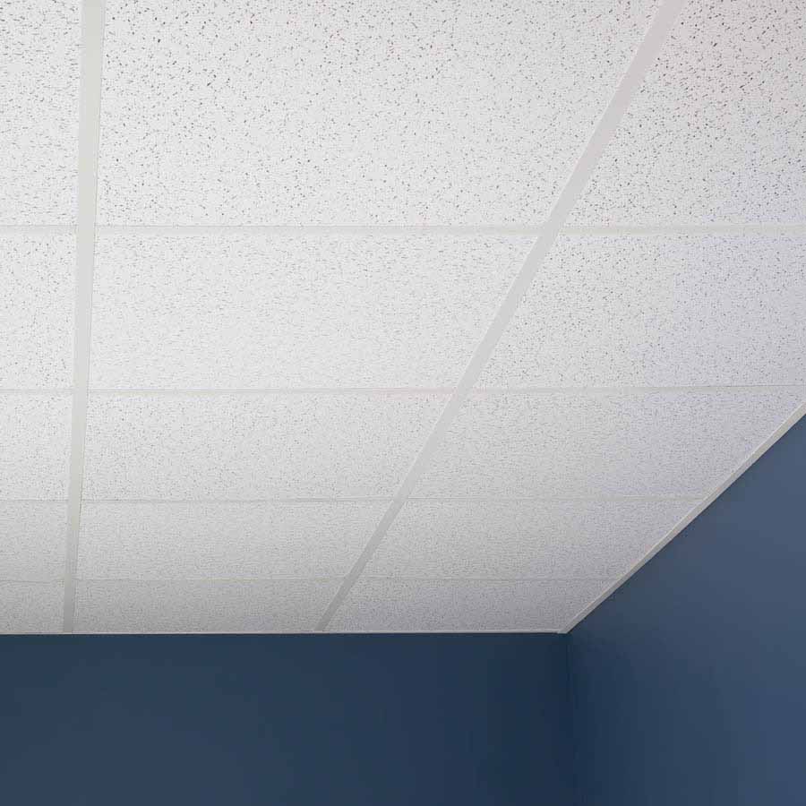 Genesis Ceiling Tile-2x2 Printed Pro in White